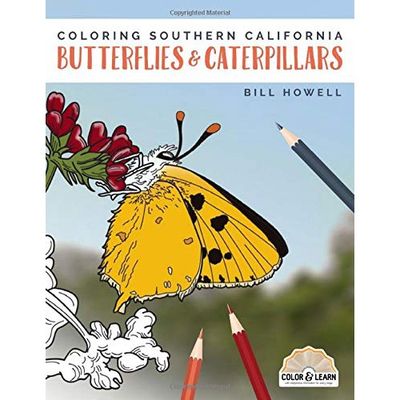 Coloring Book - Southern California Butterflies &amp; Caterpillars