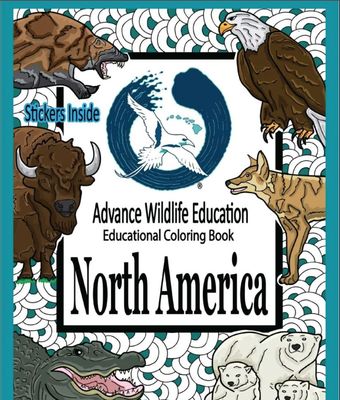 Educational Coloring Book - North America Wildlife