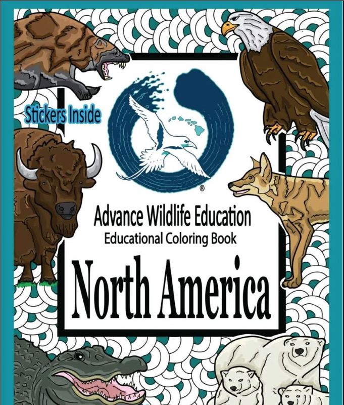 Educational Coloring Book - North America Wildlife