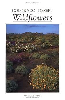 Colorado Desert Wildflowers