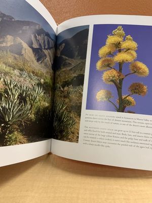 Photographic Journey,2nd Ed.