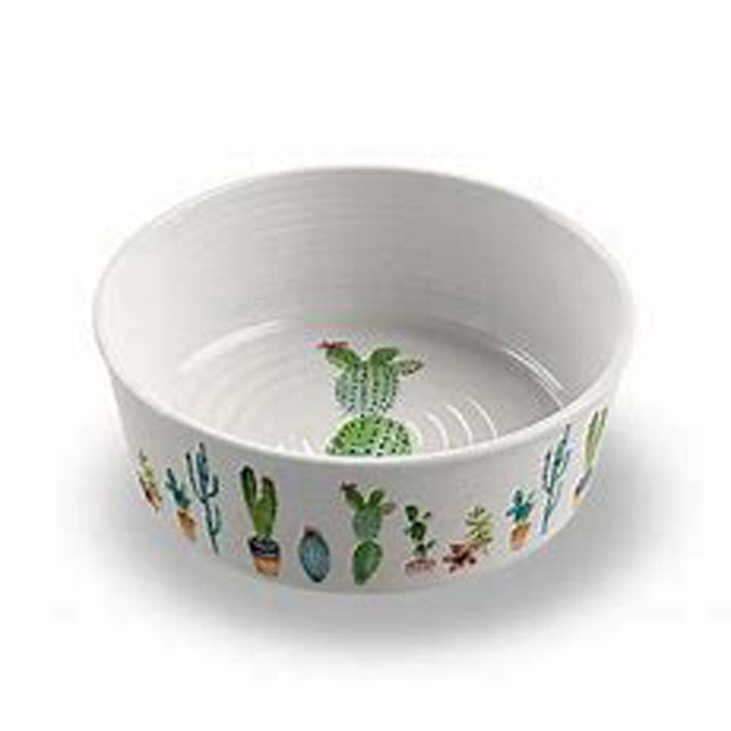 Cactus Pet Bowl Large