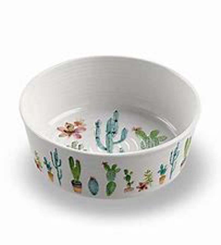 Cactus Pet Bowl, Medium
