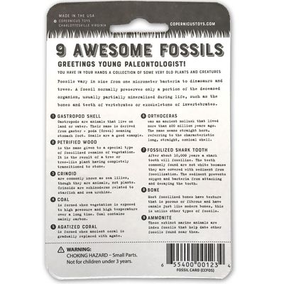 Copernicus Toys Awesome Fossils