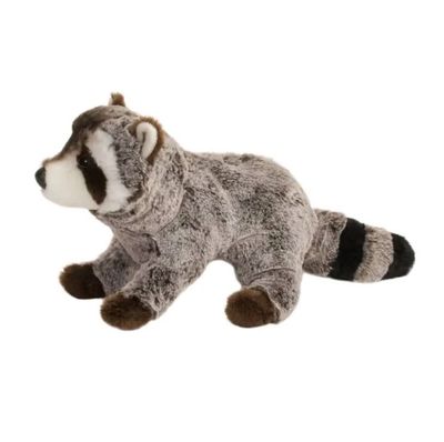 Douglas Ringo Raccoon