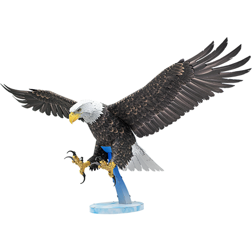 American Bald Eagle