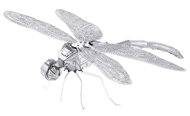 Dragonfly Model