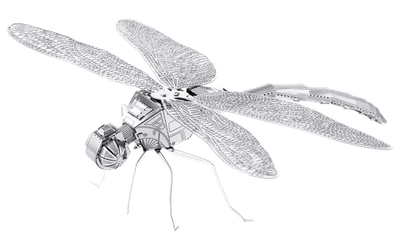 Dragonfly Model