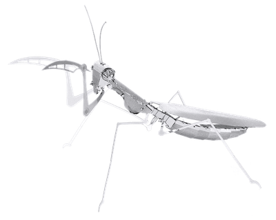 Praying Mantis Model