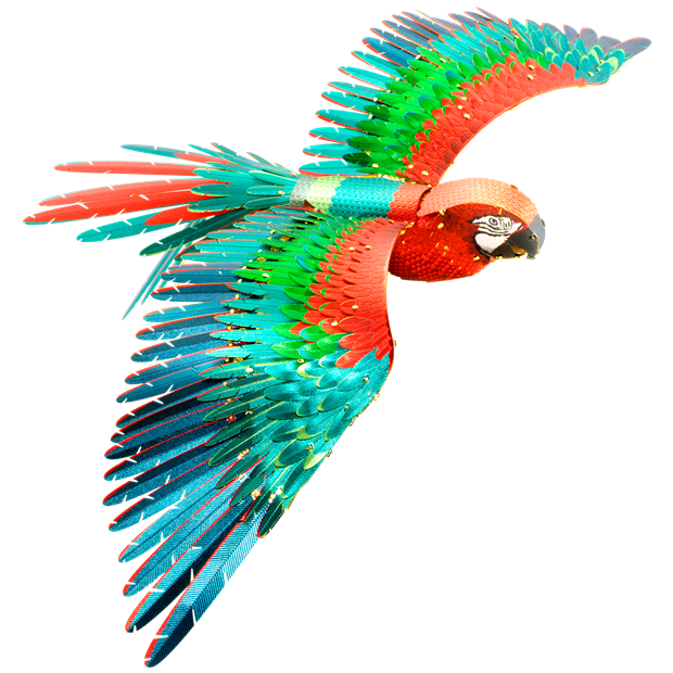 Parrot Model