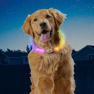 NiteHowl Max Rechargeable LED Safety Necklace - Disc-O Select