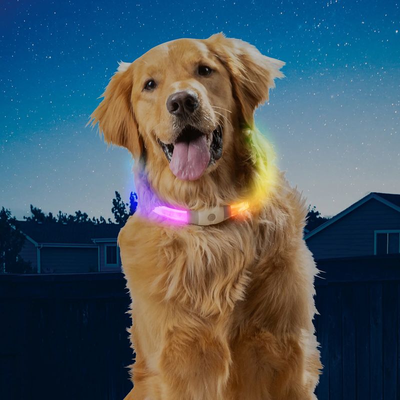 NiteHowl Max Rechargeable LED Safety Necklace - Disc-O Select