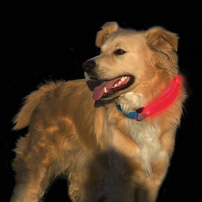 xxx NiteDog LED Collar Cover