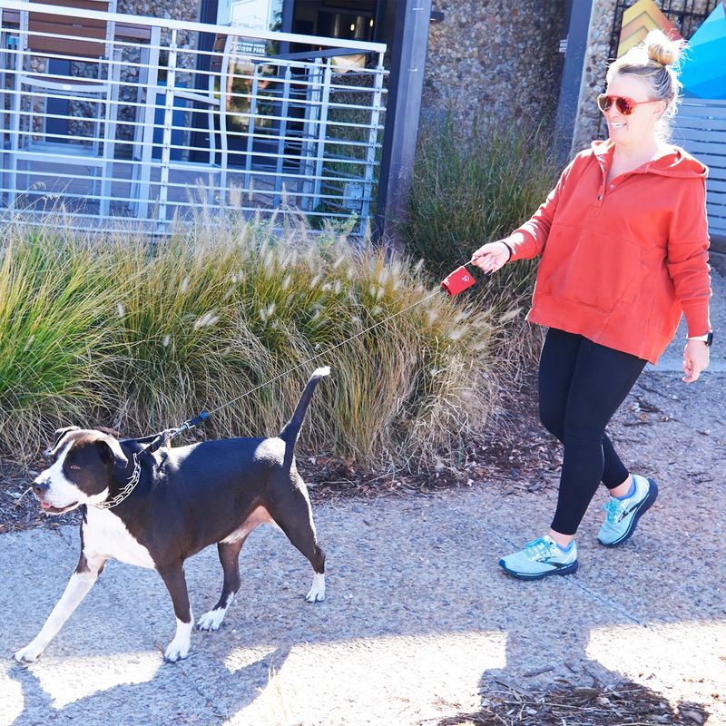 Rad Dog Retractable Pocket Leash