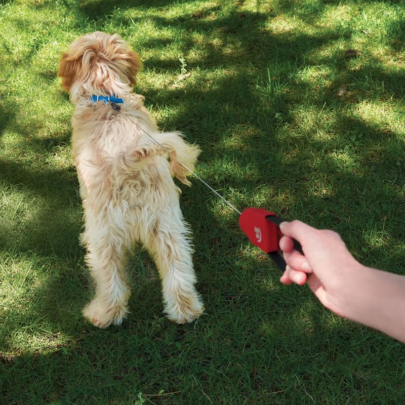Nite Ize RadDog Retractable Pocket Leash