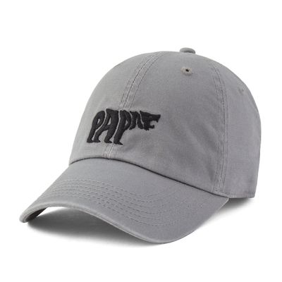 Adult Unisex Clean Papa Bear Chill Cap