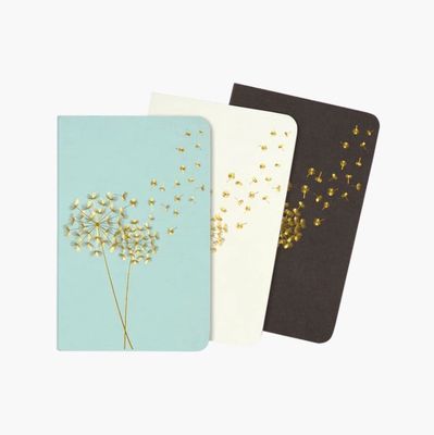 Jotter Notebook Set/3-Dandelion Wishes