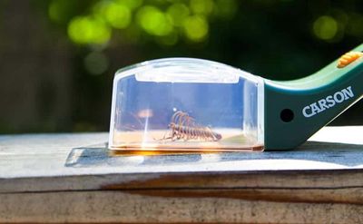 Magnifier, Bug View Bug Catcher