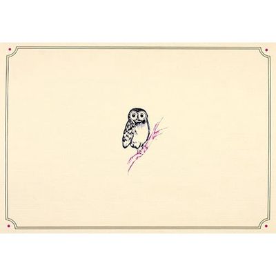 Note Cards-Owl Portrait