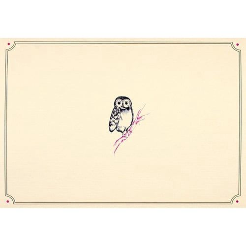 Note Cards-Owl Portrait