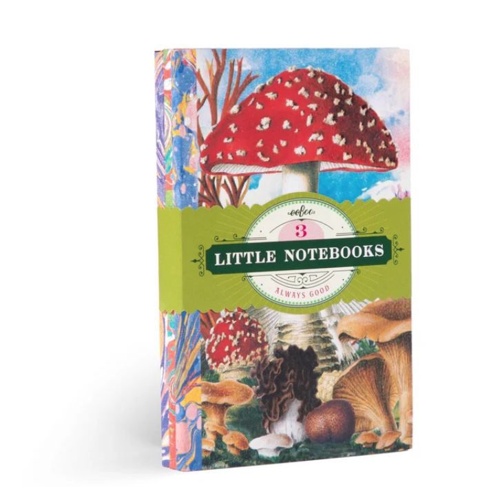 Three Little Notebooks-Fumiha&#39;s
