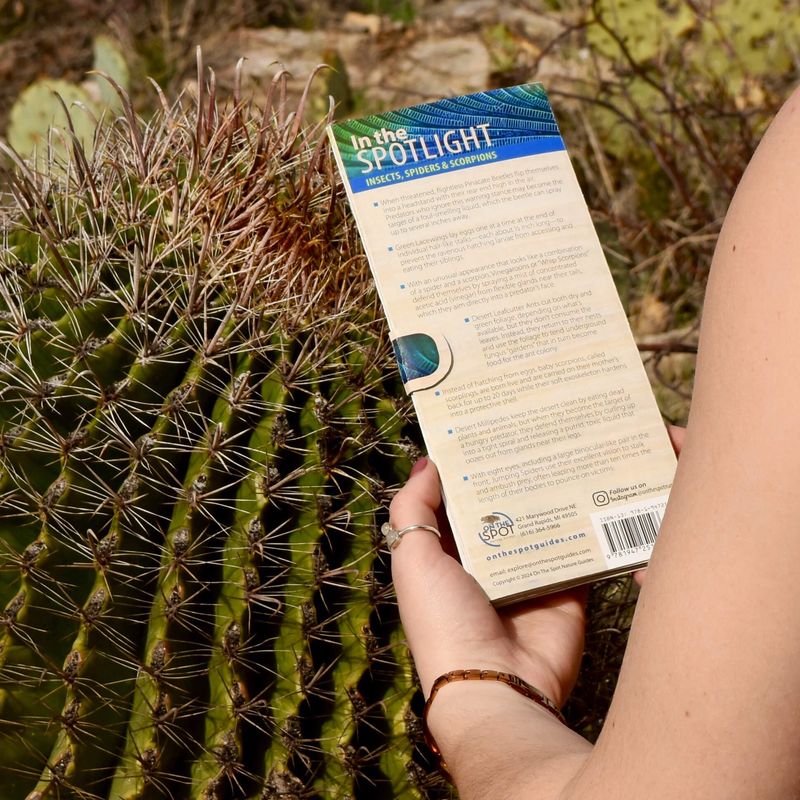 On the Spot Nature Guide Insects, Spiders &amp; Scorpions of the SW United States
