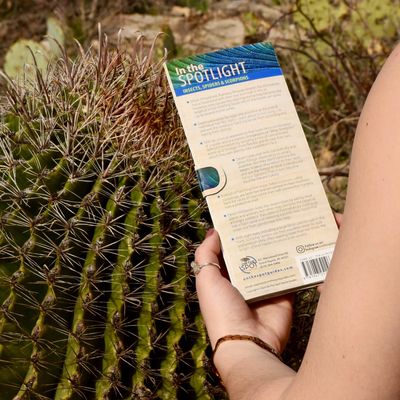 On the Spot Nature Guide Insects, Spiders &amp; Scorpions of the SW United States