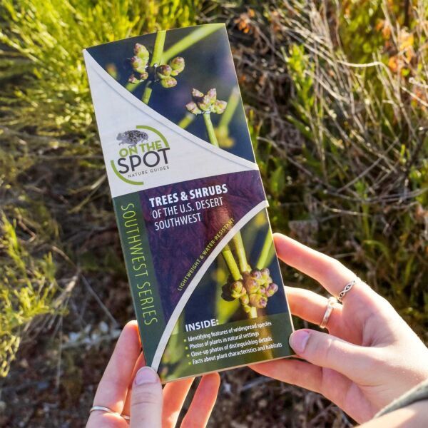 Trees &amp; Shrubs of the U.S. Desert Southwest