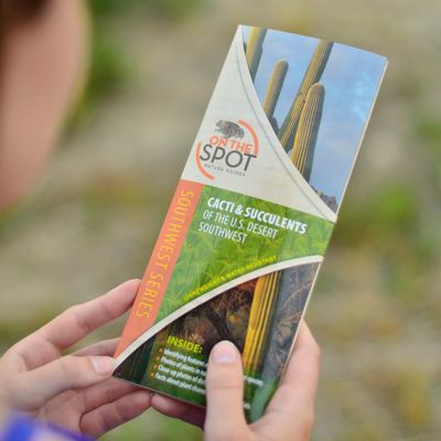 On the Spot Nature Guide Cacti &amp; Succulents Of The Desert
