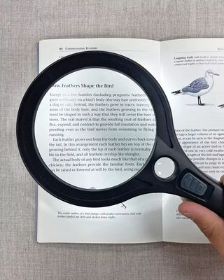 Instruments &amp; Optics