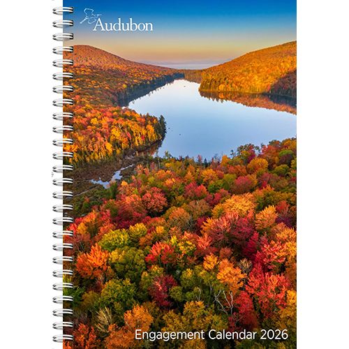 Calendar, Audubon Engagement