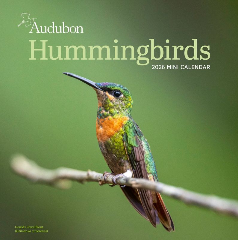 Calendar, Mini-Audubon Hummingbirds