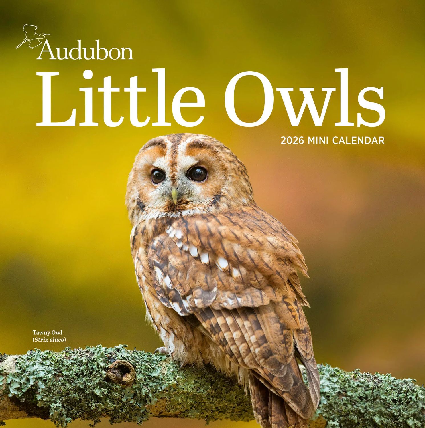 Calendar, Mini-Audubon Little Owls