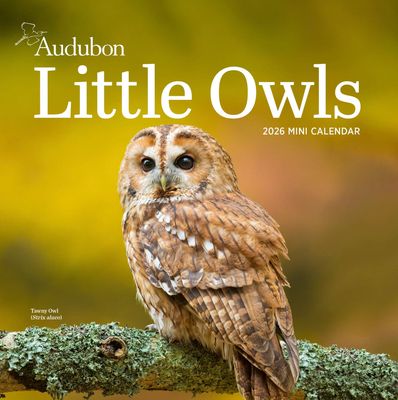 Calendar, Mini-Audubon Little Owls
