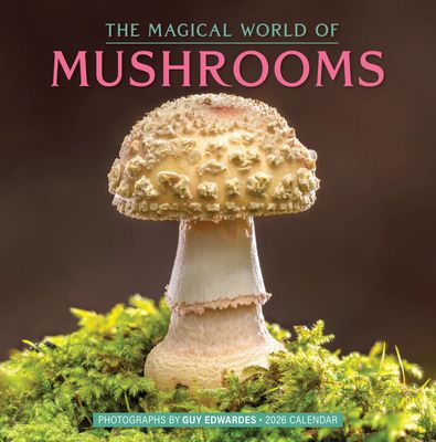Calendar, Wall-Magical World of Mushrooms
