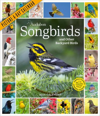 Calendar, Picture-A-Day- Audubon Songbirds