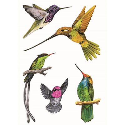 LA, Hummingbirds Stickers
