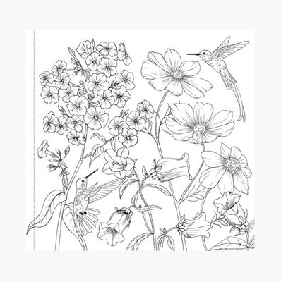 Peter Pauper Press Coloring Book-Wildflowers