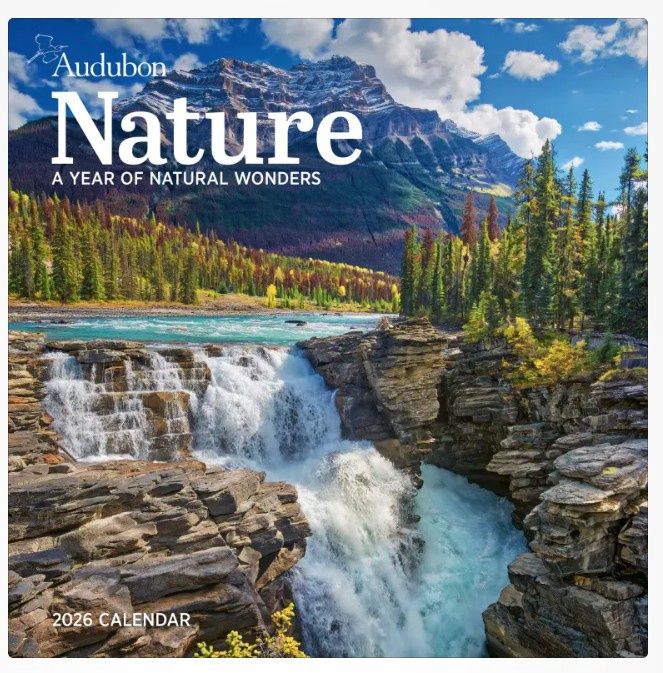 Calendar, Wall-Audubon Nature