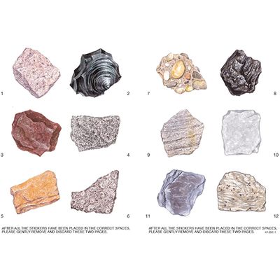 LA, Learning About Rocks