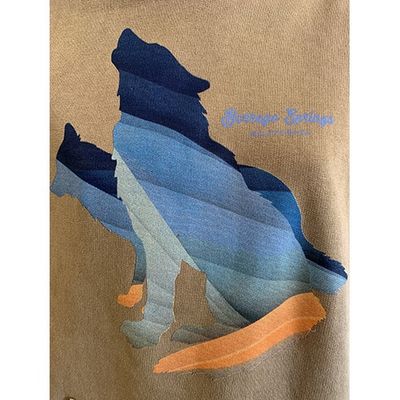 Papercut Coyote Mineral Washed Raglan Hoodie
