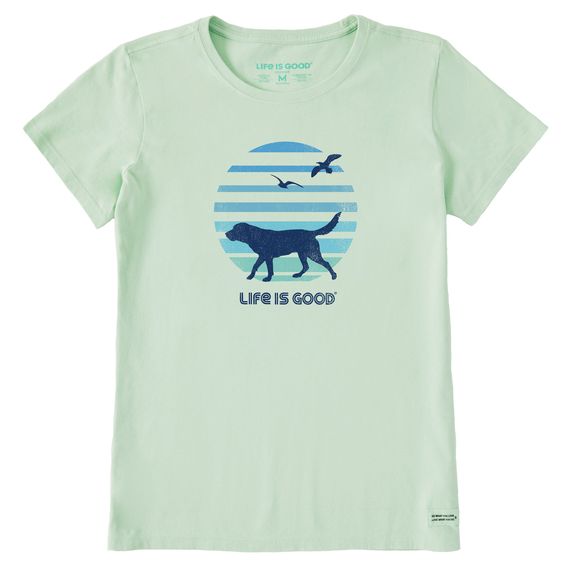 Life is Good Women's 70's Retro Dog Beach Walk SS Tee, Color: Sage Green, Size: Small