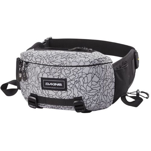 Dakine Hot Laps 2L, Color: Griffin Treeline