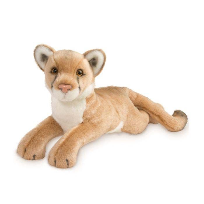 Douglas Kelso Mountain Lion