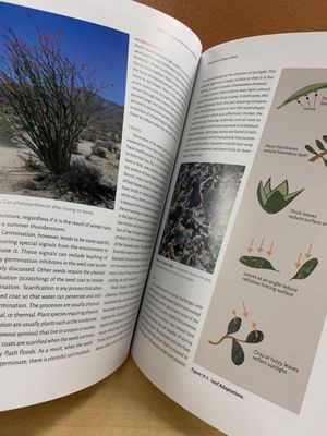 A Natural History Of The Anza-Borrego Region