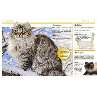 Pocket Genius Book: Cats
