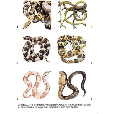 LA, Learning About Snakes