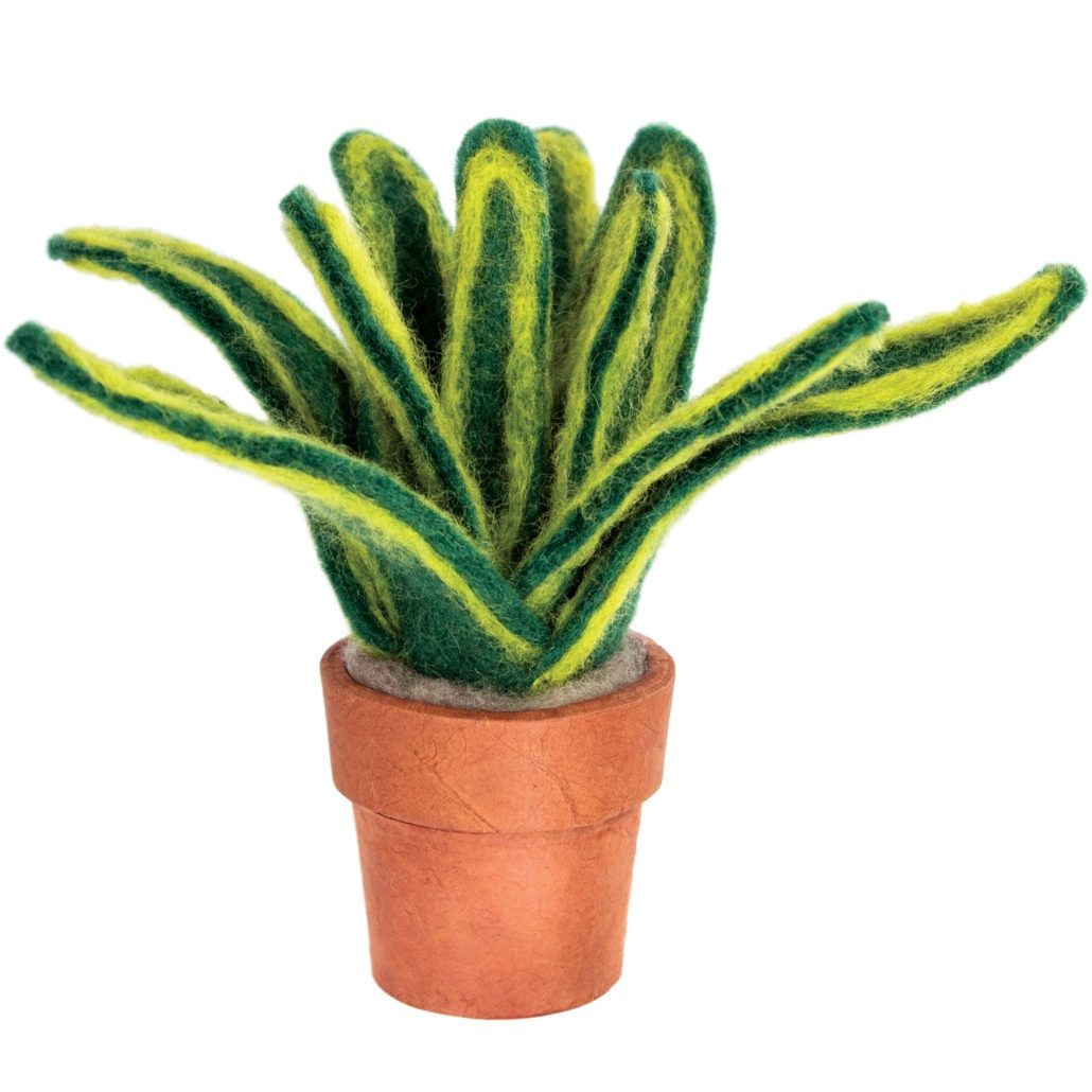 DZI Handmade Small Snake Plant