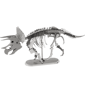 Triceratops Skeleton Model