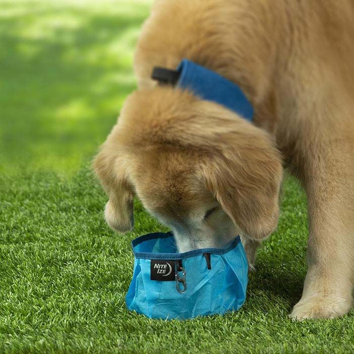 Nite Ize RadDog Collapsible Pet Bowl (d), Color: Blue